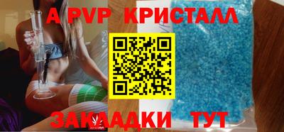 гашик Моздок
