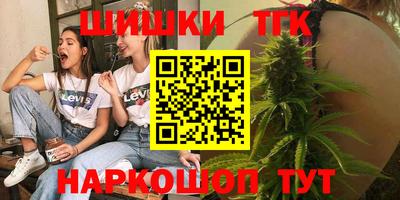 гашик Моздок