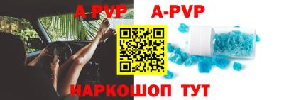 гашик Моздок