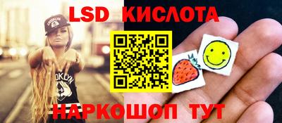 гашик Моздок