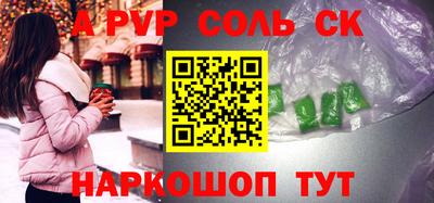 гашик Моздок