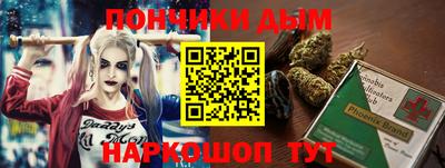 гашик Моздок