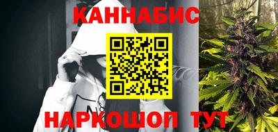 гашик Моздок