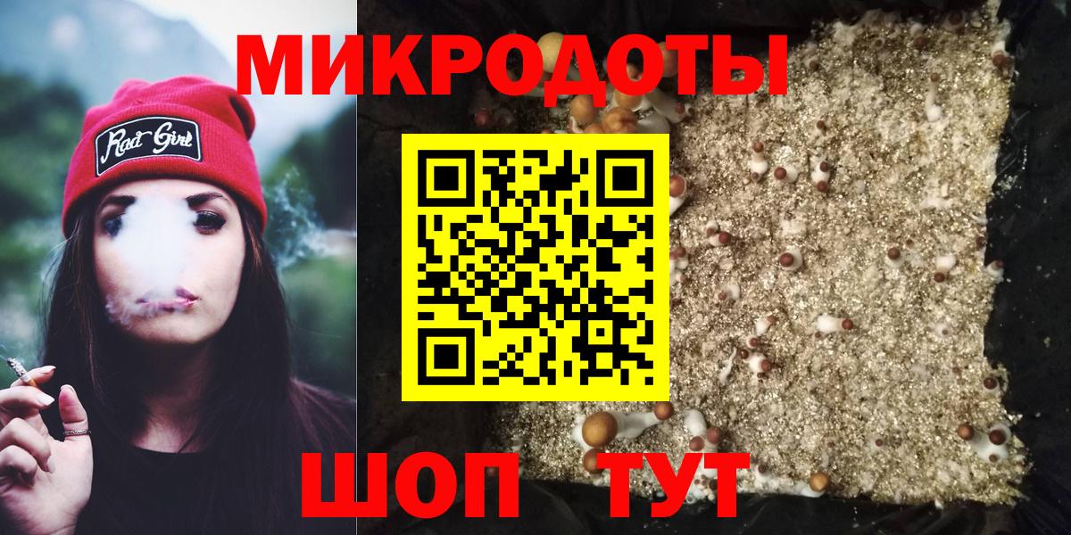 Галлюциногенные грибы Psilocybe Тольятти